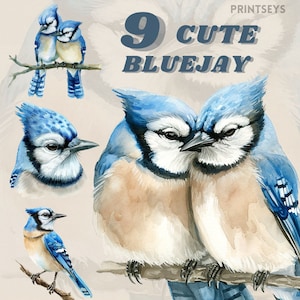 Pacote de clipart de pássaro Bluejay fofo em aquarela, animais fofos, clipart de pássaro fofo, clipart de bluejay fofo, clipart de animais