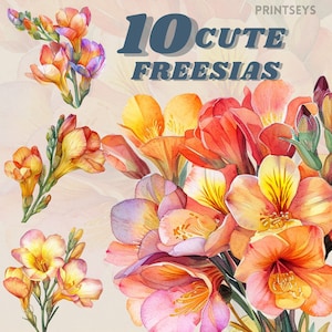 Adesivo digital de flor de frésia em aquarela, clipart de frésia, png floral romântico, flor selvagem, comercial, registro no diário, download instantâneo