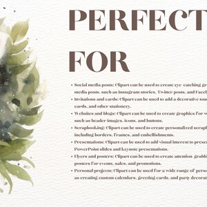 May include: A watercolor illustration of a red panda surrounded by green leaves. The text "PERFECT FOR" is written in brown letters above the panda. The text below the panda describes how clipart can be used for social media posts, invitations, websites, scrapbooking, presentations, flyers, and personal projects.