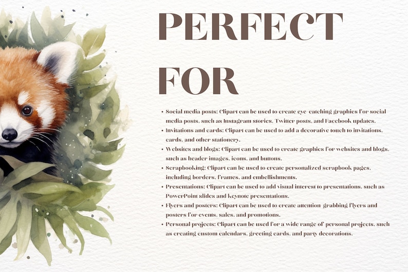 May include: A watercolor illustration of a red panda surrounded by green leaves. The text "PERFECT FOR" is written in brown letters above the panda. The text below the panda describes how clipart can be used for social media posts, invitations, websites, scrapbooking, presentations, flyers, and personal projects.