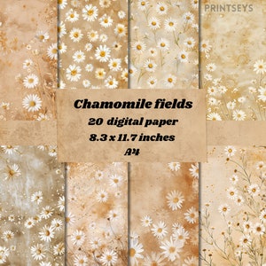 Fond de papier numérique de champs de camomille, fond de nature, papier de journal de rebut de scrapbooking, petites fleurs de camomille de fond beige