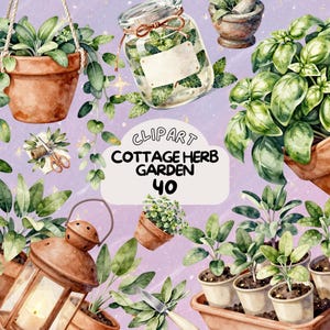 以下が含まれることがあります： 様々な鉢植えのハーブ、ハーブの入ったガラス瓶、乳鉢と乳棒が描かれた、コテージハーブガーデンの水彩イラストです。画像には「CLPART COTTAGE HERB GARDEN 40」というテキストが含まれています。
