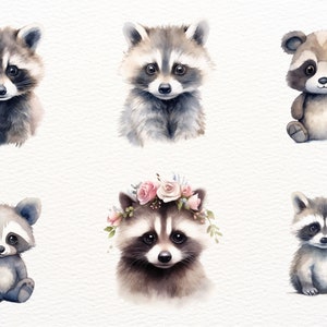 Cute watercolour racoon clipart bundle, cute animals, baby racoon clipart, cute clipart,animal clipart image 4