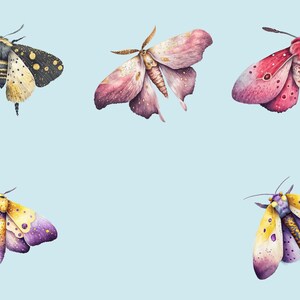 May include: Five watercolor illustrations of moths with different colors and patterns. The moths are on a light blue background.
