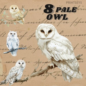 beaux autocollants numériques chouette pâle, chouette effraie des cloches png, png oiseau, clipart chouette mignon, clipart mystique, lot de cliparts chouette wicca, commercial