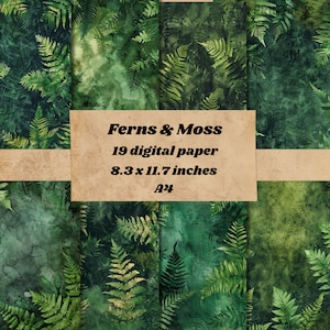 Arrière-plan papier numérique fougères et mousse, arrière-plan nature, papier journal pour scrapbooking indésirable, journalisation artisanale en papier texturé fougères et mousse