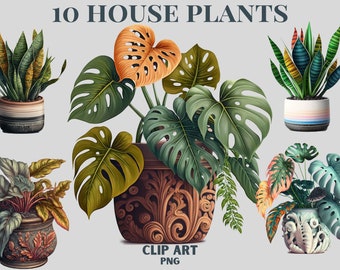 Best House Plant Clipart, House plant Png, Monstera, money tree, Lemon tree, Snake Plant, Potted Plant Clipart