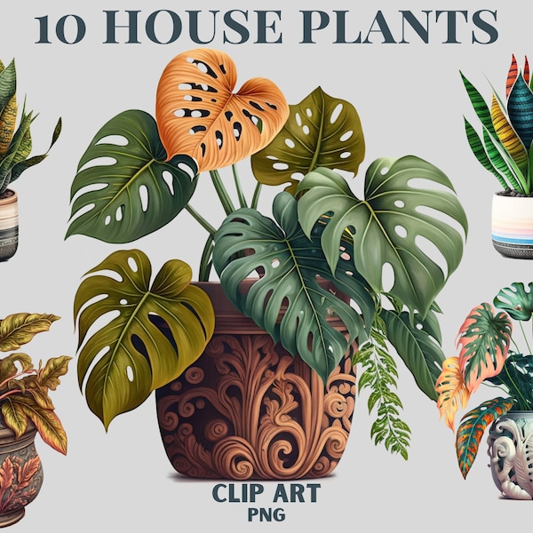 Best House Plant Clipart, House plant Png, Monstera, money tree, Lemon tree, Snake Plant, Potted Plant Clipart