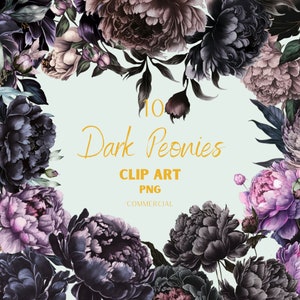 Dark Peonies png, imágenes prediseñadas de peonía de acuarela, ilustración de peonía, imágenes prediseñadas florales, imágenes prediseñadas de flores de acuarela, png de acuarela, negro, púrpura