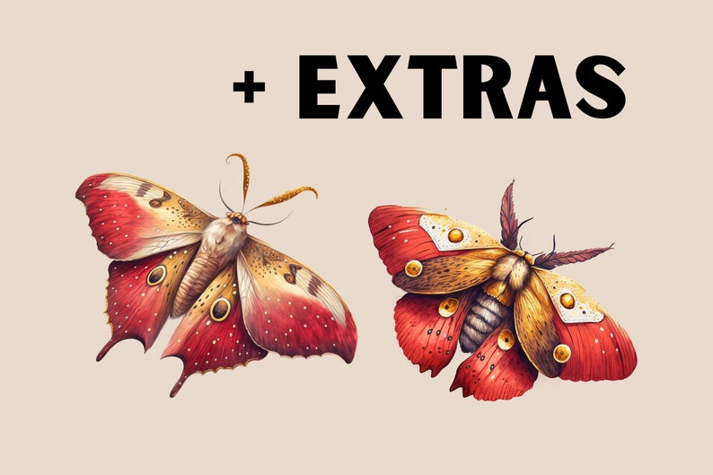 May include: Two red and gold moths with intricate patterns and details. The moths have large wings with a red and gold color scheme. The moths are set against a light beige background.