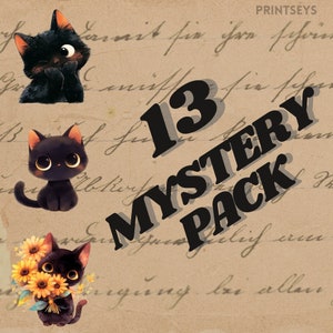 Mysterie schattige zwarte kat digitale stickerbundel, zwarte kat clipart, schattige kat png, kawaii poesjes, transparant, commercieel, journaling