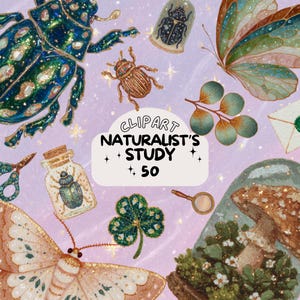 May include: A watercolour illustration collection featuring insects, butterflies, and botanical elements. The image includes various bugs, a butterfly, a four-leaf clover, and the text "CLIPART NATURALIST'S STUDY + 50". The colour palette includes greens, blues, and browns.