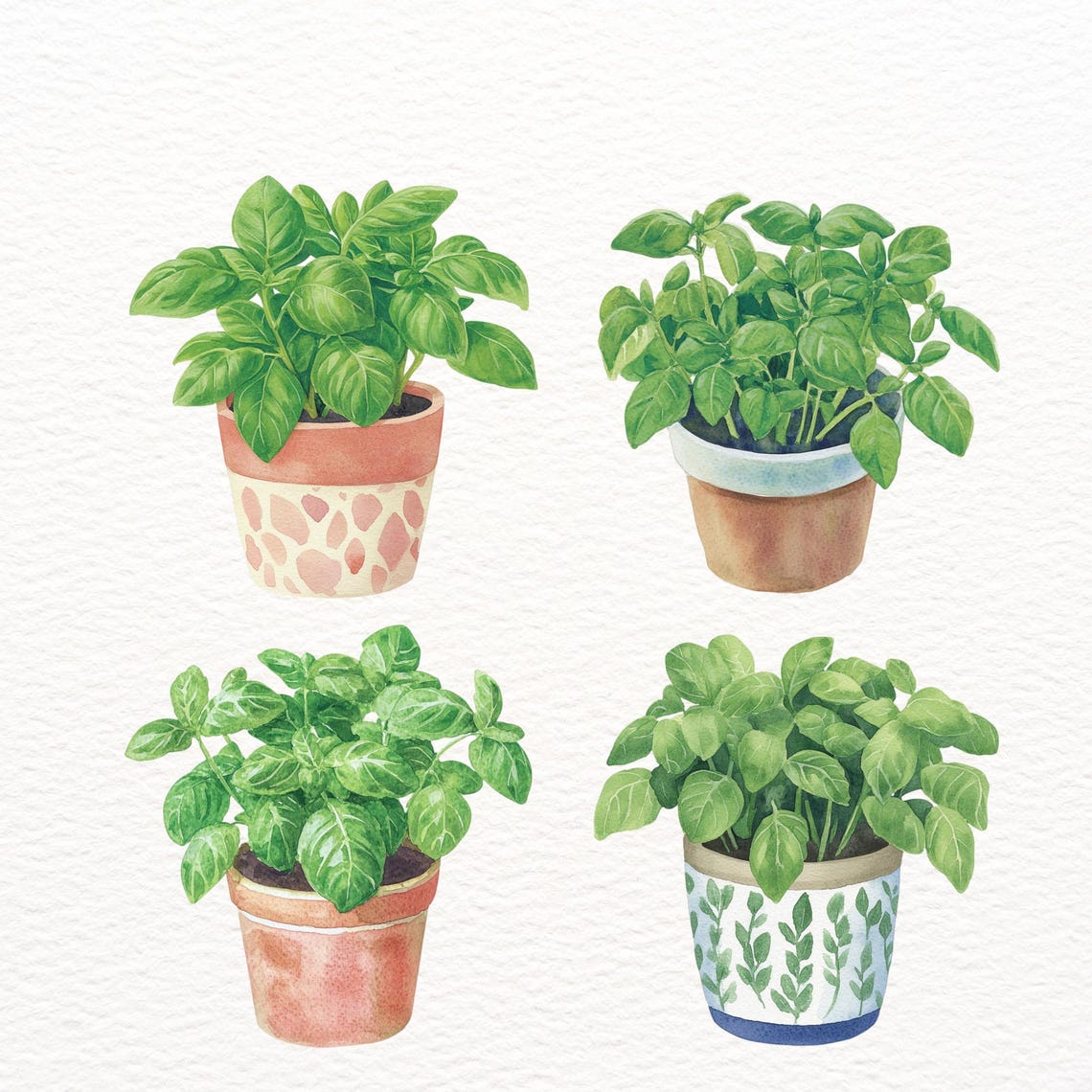 Basil Pot Clipart Set, Bookish PNG Stickers, Herb Grower Reader Set ...