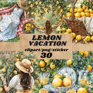 Pacchetto di adesivi cottagecore al limone acquerello, clipart estiva, journaling di limone fresco, journaling spazzatura, png trasparente, agrumi freschi digitali