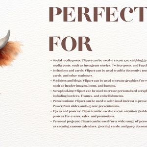 May include: A watercolour illustration of a Highland cow with a fluffy brown coat. The image is accompanied by text that reads "PERFECT FOR" and lists various uses for clipart, such as social media posts, invitations, websites, scrapbooking, presentations, flyers, and personal projects.