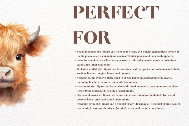 May include: A watercolour illustration of a Highland cow with a fluffy brown coat. The image is accompanied by text that reads "PERFECT FOR" and lists various uses for clipart, such as social media posts, invitations, websites, scrapbooking, presentations, flyers, and personal projects.