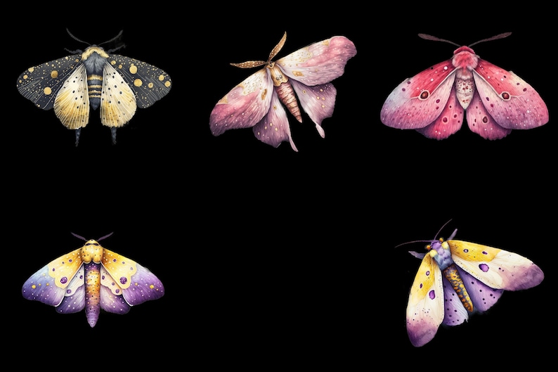 May include: Five watercolor illustrations of moths with different colors and patterns. The moths are on a black background. The moths are all different sizes and shapes. The moths are all facing forward.