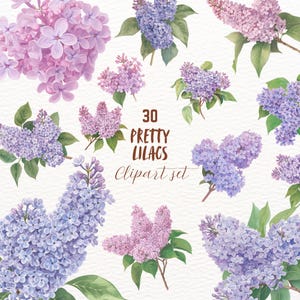 Bundle de clipart aquarelle lilas violet rose, autocollants floraux printaniers goodnotes, png mignon, ensemble de journalisation numérique girly, image transparente
