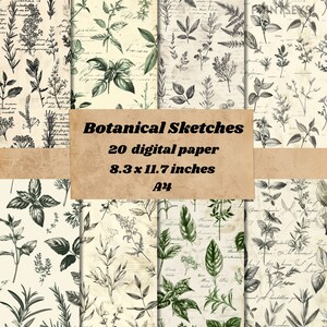 Botanische schetsen Digitale papieren achtergrond, natuurachtergrond, plakboek junk journal-papier, crèmekleurige papieren botanische schetsen