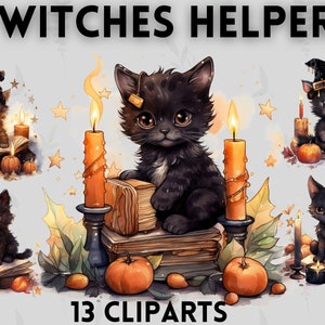Schattige heksen helper kittens clipart bundel, mystieke katten, kat clipart, hekserij clipart, zwarte kat clipart, Wicca clipart, occulte