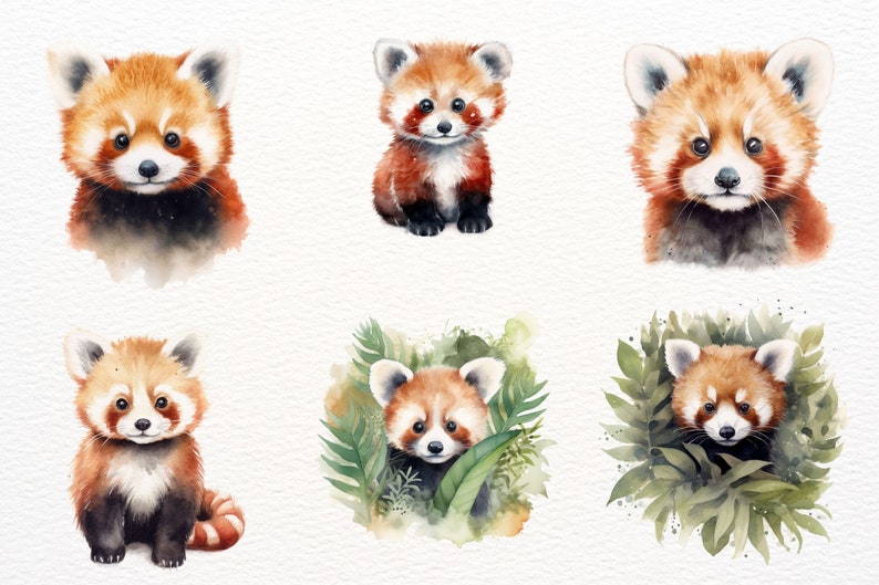 May include: Six watercolor illustrations of red pandas in different poses. Some are sitting, some are standing, and some are peeking out from behind leaves. The illustrations are painted in a realistic style with soft, muted colors.