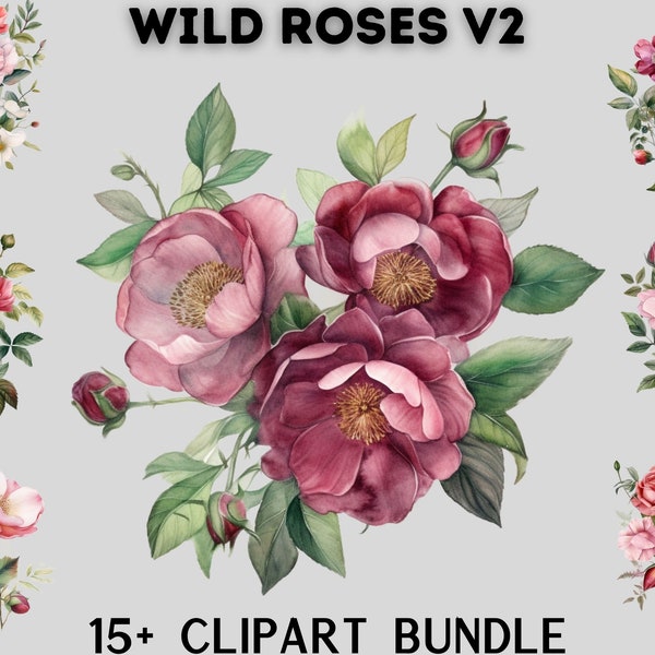 Watercolour Wild Rose clipart bundle, pink, red roses, floral clipart, wild flower clipart, instant download