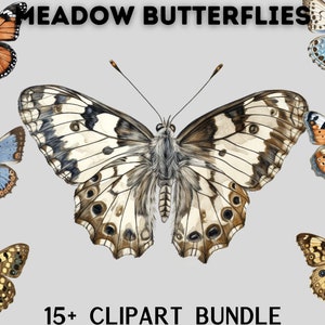 Beste bunte Wiese Schmetterling Clipart Bundle, Schmetterling Png, exotische Schmetterlinge, lebendige Farben, Bundle Illustrationen, Cottagecore