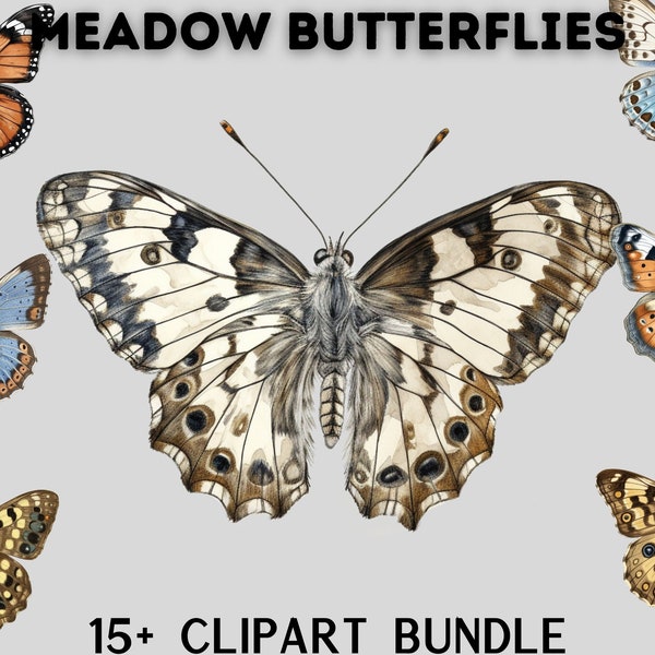 Beste kleurrijke weidevlinder clipartbundel, vlinderpng, exotische vlinders, levendige kleuren, bundelillustraties, cottagecore