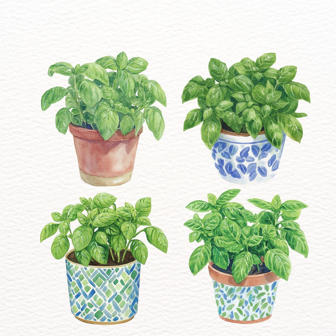 Basil Pot Clipart Set, Bookish PNG Stickers, Herb Grower Reader Set ...