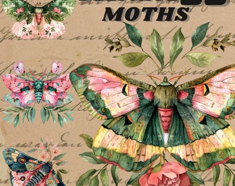 Watercolour Whimsical Soft Moth clipart bundle, Wiccan png, moth png, mystical clipart, witchcraft png clipart, pagan clipart, butterfly