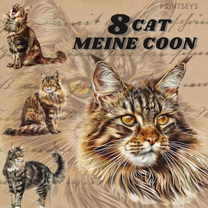 Bundle d'autocollants numériques chat Maine Coon, clipart chat en cristal, png mystique, espace, scrapbooking fantaisiste, transparent, commercial