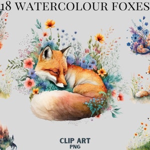 Joli lot de cliparts renards aquarelle, renard endormi, renard dans un pré, bois, clipart printemps, clipart nature, coquelicots, floral