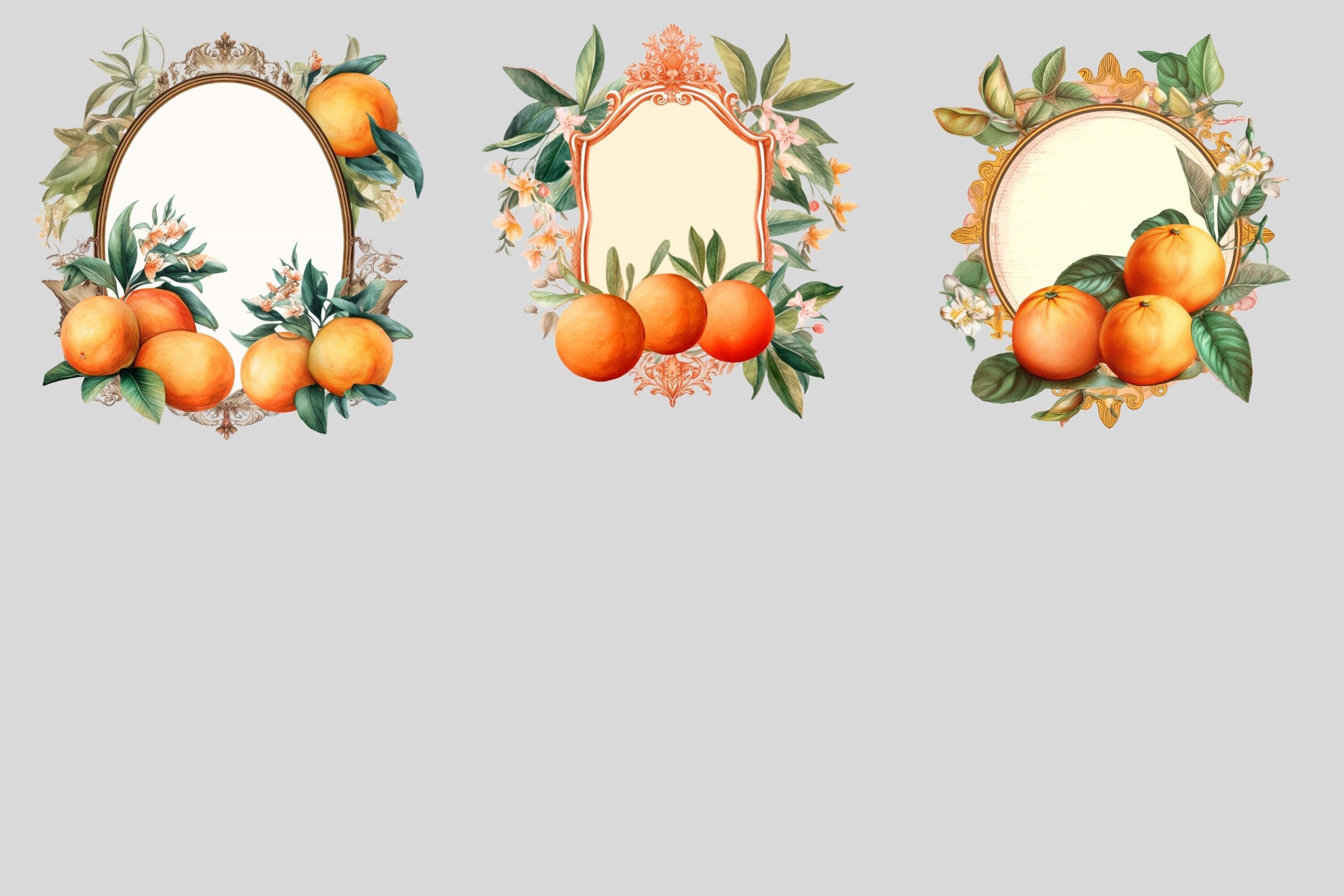 Watercolour Orange Frame Clipart Bundle, Fruit Frame, Citrus Label ...