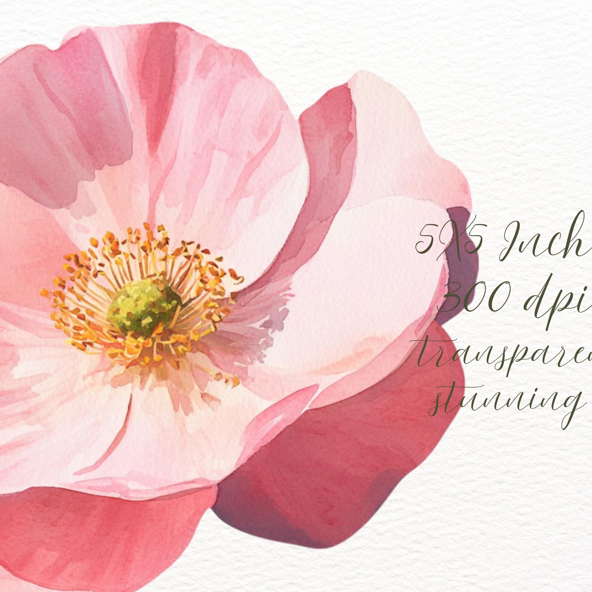 Watercolour Wild Roses Watercolour Wild Roses Clipart Bundle, Spring Rose Floral Goodnotes ...