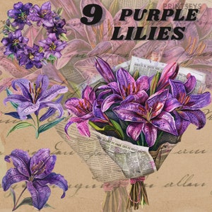 Adesivo digital de flor de lírio roxo aquarela, clipart de frésia, png floral romântico, flor selvagem, comercial, registro no diário, download instantâneo