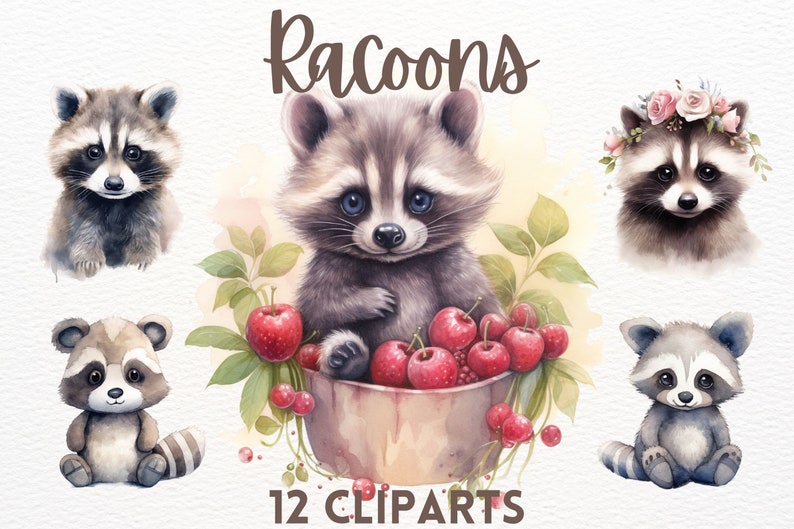 Cute watercolour racoon clipart bundle, cute animals, baby racoon clipart, cute clipart,animal clipart image 1