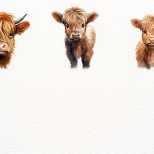 May include: Three Highland cattle, two calves and one adult, with long, shaggy, reddish-brown fur. The cattle are looking directly at the camera.