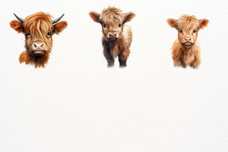 May include: Three Highland cattle, two calves and one adult, with long, shaggy, reddish-brown fur. The cattle are looking directly at the camera.