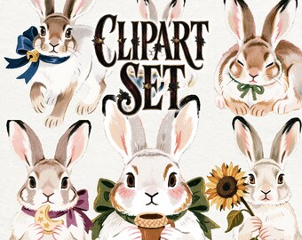 Snowshoe Hare Clipart, Cute Winter Bunny PNG, Woodland Rabbit Clip Art, Cozy Cottagecore Animal, Christmas Bunny Illustrations