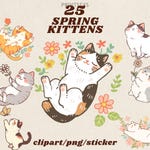 Digital Stickers