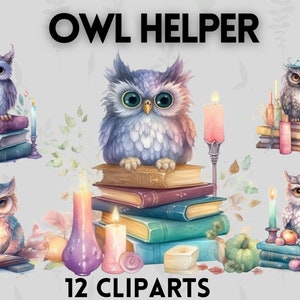 Leuke heksen helper pastel uil clipart bundel, uil clipart, pastel clipart, occulte, Wicca, heksen clipart, mystieke clipart, schattige uil