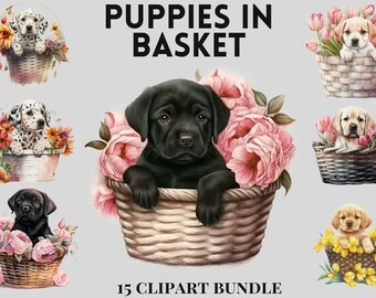 Graziosi cuccioli di cuccioli in acquerello in bundle clipart, fiori primaverili, cani, estetica primaverile