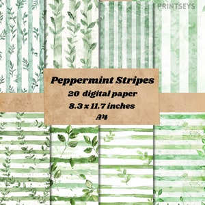 Fond de papier numérique rayures menthe poivrée, fond nature, papier journal scrapbooking indésirable, rayures menthe poivrée vert clair et blanc