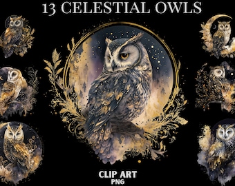 Celestial Owl Clipart, Owl png, magic clip art, mystical clipart, witchcraft png clipart, pagan clipart png, pagan png, mystical Owls