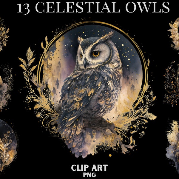 Celestial Owl Clipart, Owl png, magic clip art, mystical clipart, witchcraft png clipart, pagan clipart png, pagan png, mystical Owls