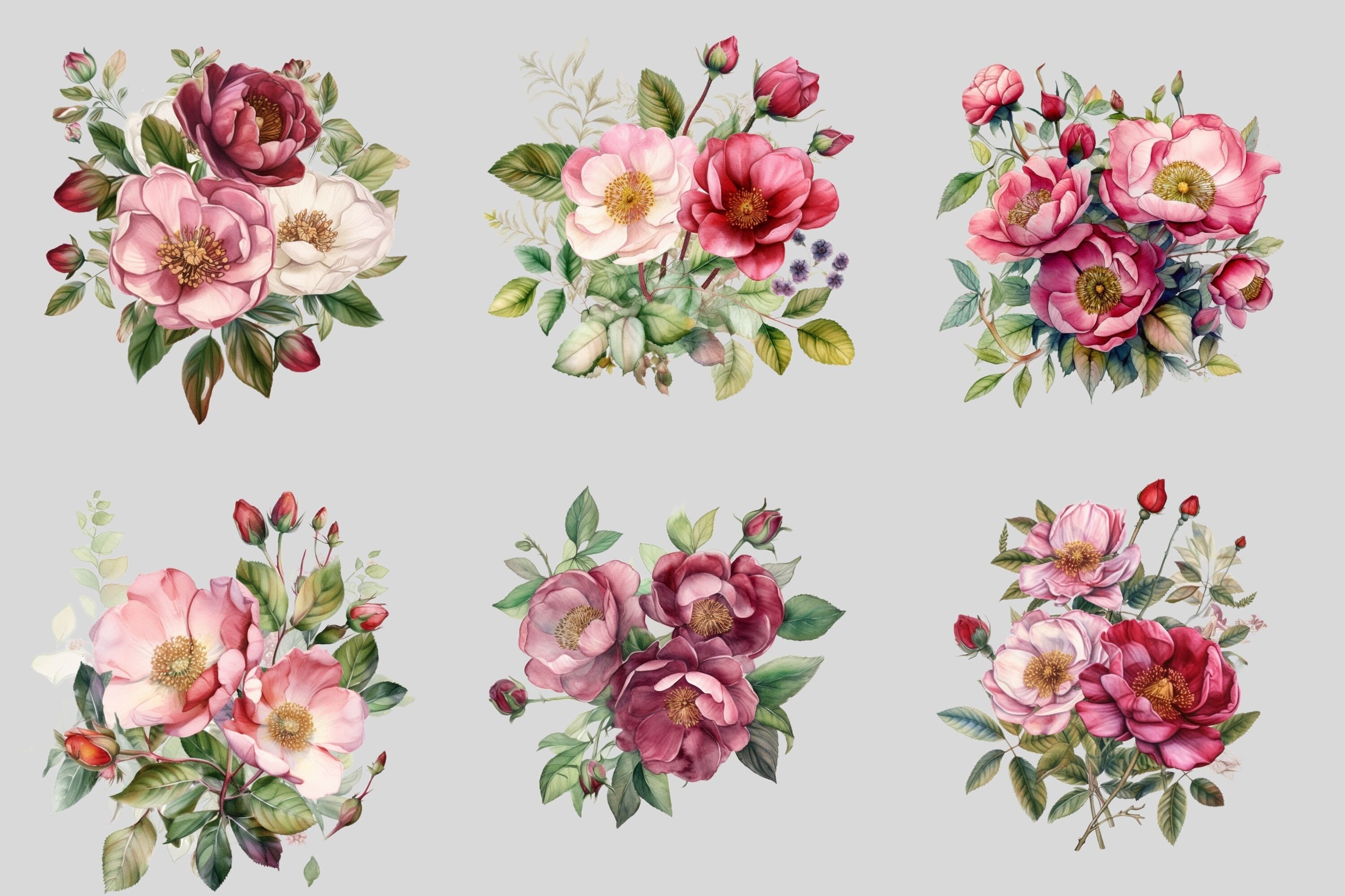 Watercolour Wild Roses Watercolour Wild Rose Clipart Bundle Pink Red Roses Floral - Etsy
