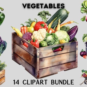 Aquarelle Légumes Clipart Bundle, clipart végétarien, poivre, pommes de terre, tomates, jardinage, clipart de jardinage