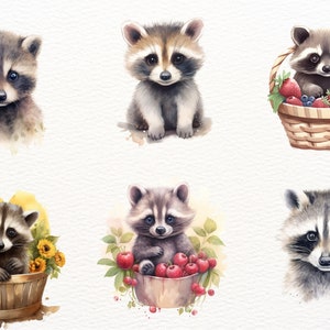 Cute watercolour racoon clipart bundle, cute animals, baby racoon clipart, cute clipart,animal clipart image 5