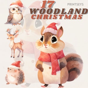 Mignon aquarelle Woodland Creature Christmas clipart bundle, woodland png, Noël confortable, vacances, transparent, téléchargement instantané, hibou, renard