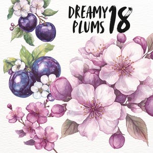 Op de afbeelding: Waterverfillustratie van 18 paarse pruimen met witte bloesems en groene bladeren. De tekst "Dreamy Plums 18" staat in het zwart bovenaan de afbeelding.